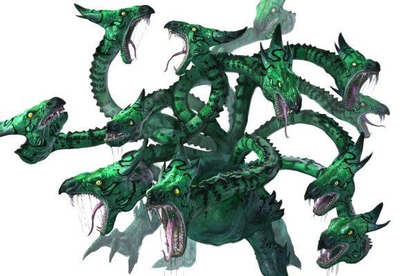 Kraken 24 top