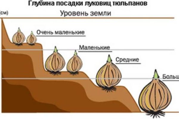 Кракен ссылка зайти