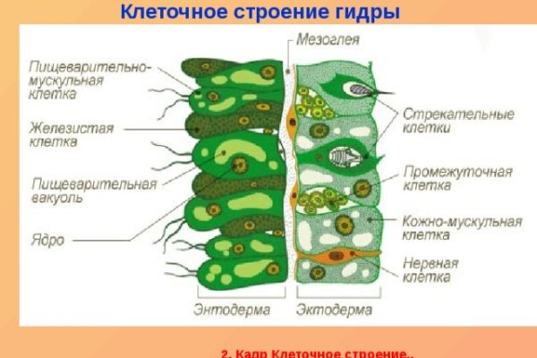 Кракен омг мега