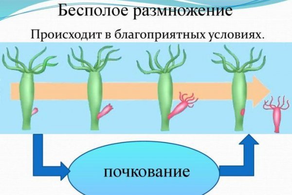 Kraken официальный сайт kraken11